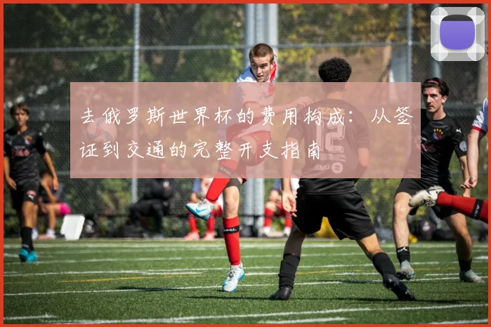 去俄罗斯世界杯的费用构成：从签证到交通的完整开支指南