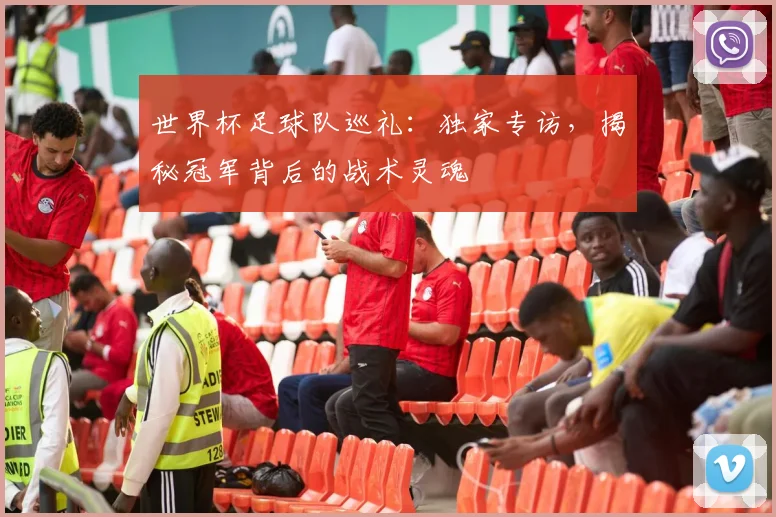 世界杯足球队巡礼:独家专访,揭秘冠军背后的战术灵魂