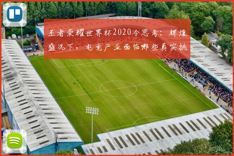 王者荣耀世界杯2020冷思考:辉煌盛况下,电竞产业面临哪些真实挑战?