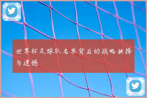 世界杯足球队名单背后的战略抉择与遗憾