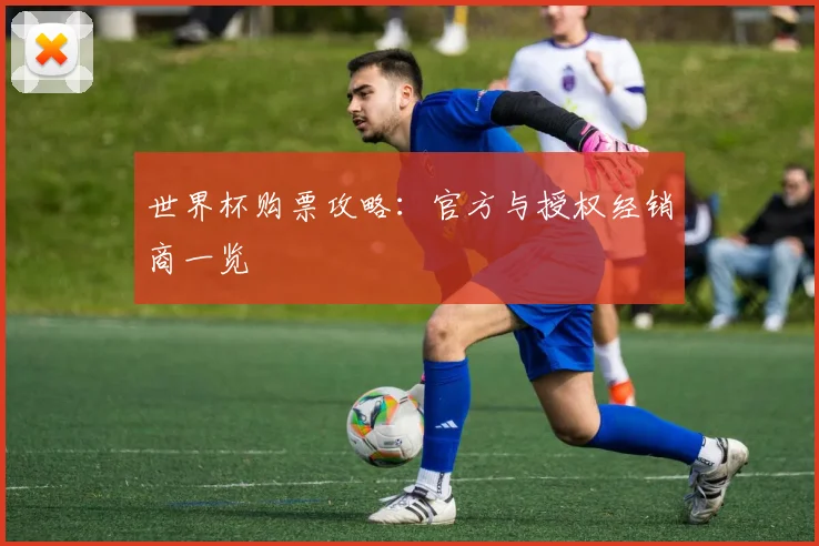 世界杯购票攻略:官方与授权经销商一览